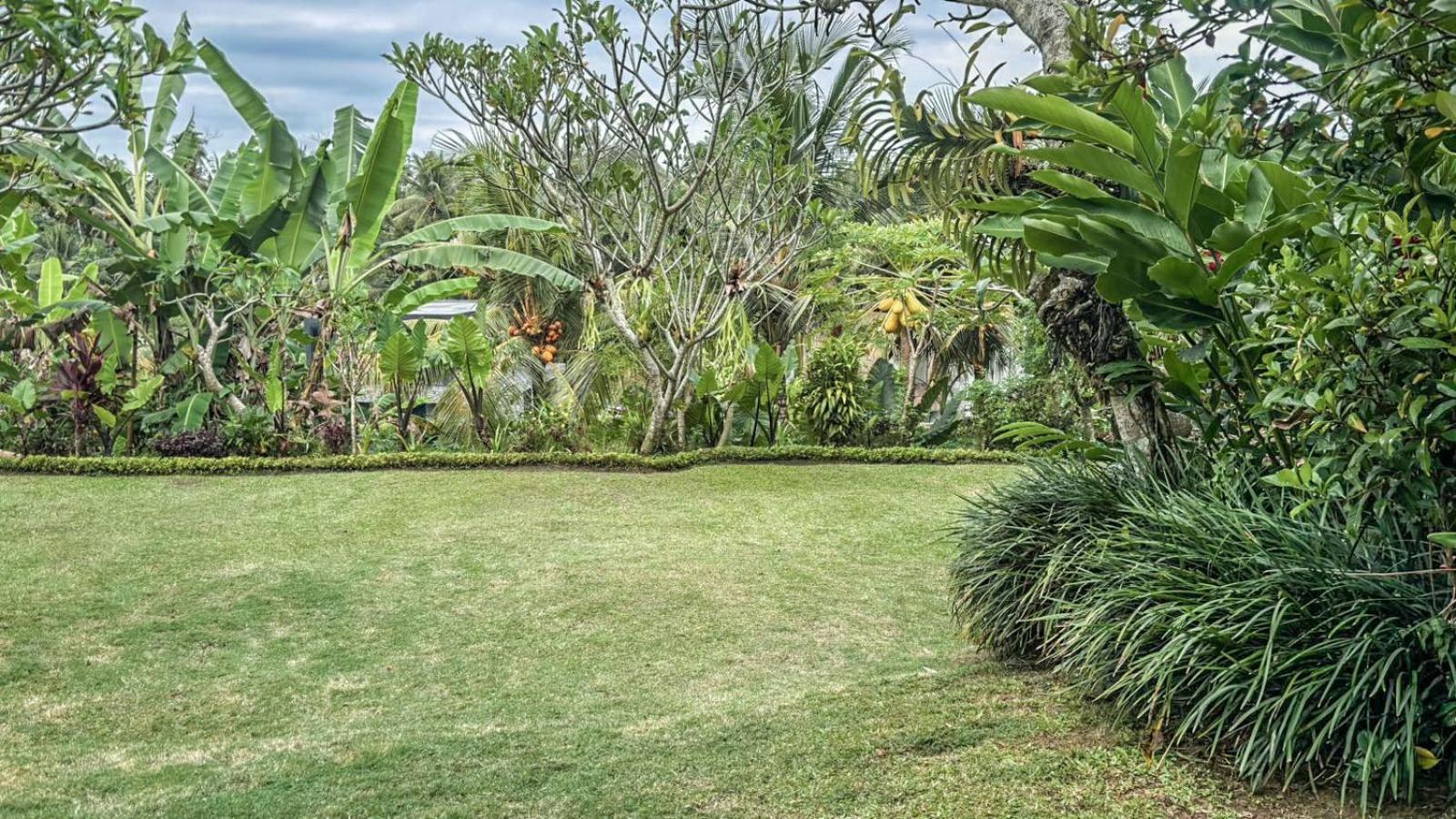 Dlobong Suite Ubud Esterno foto