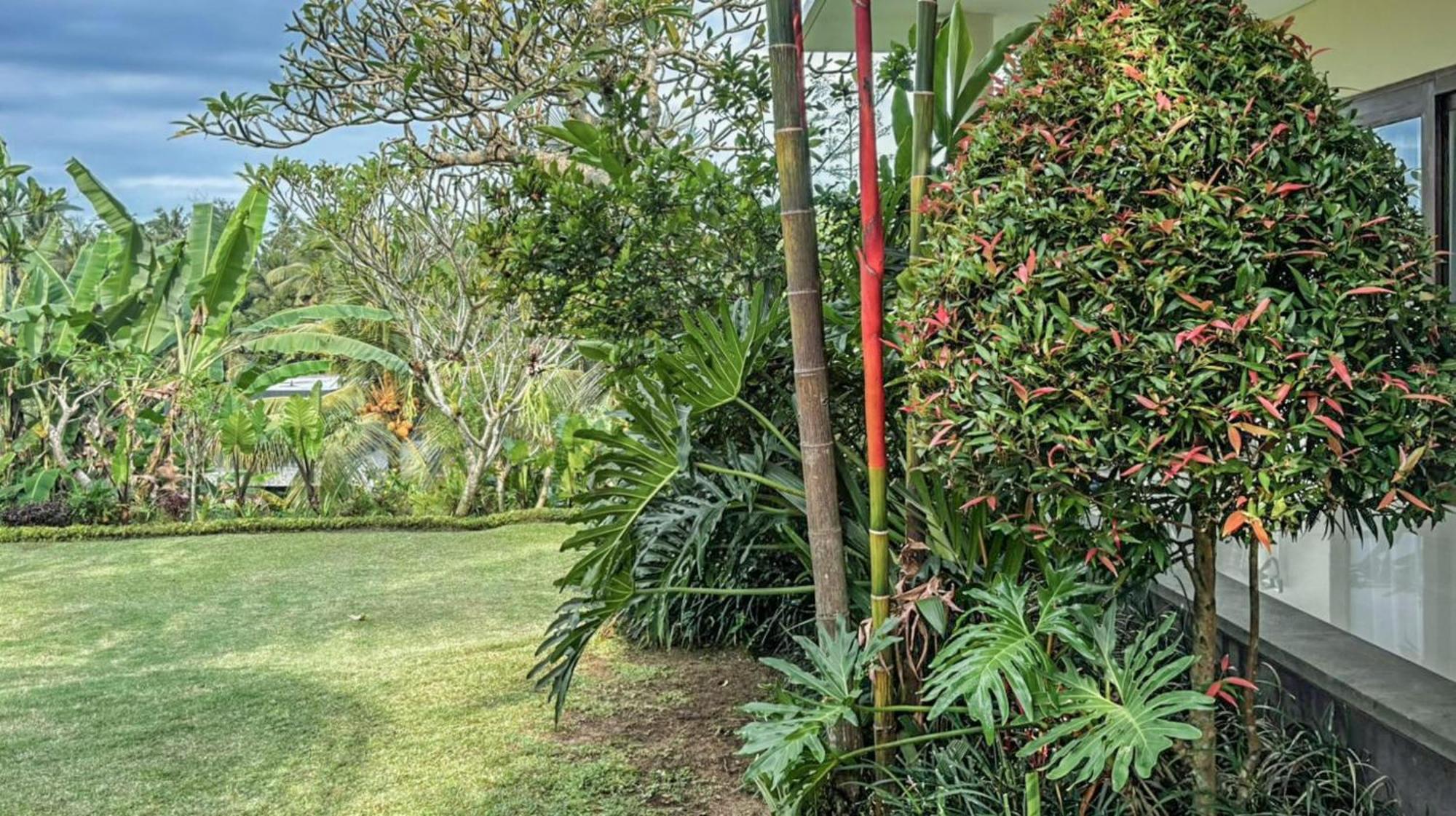 Dlobong Suite Ubud Esterno foto
